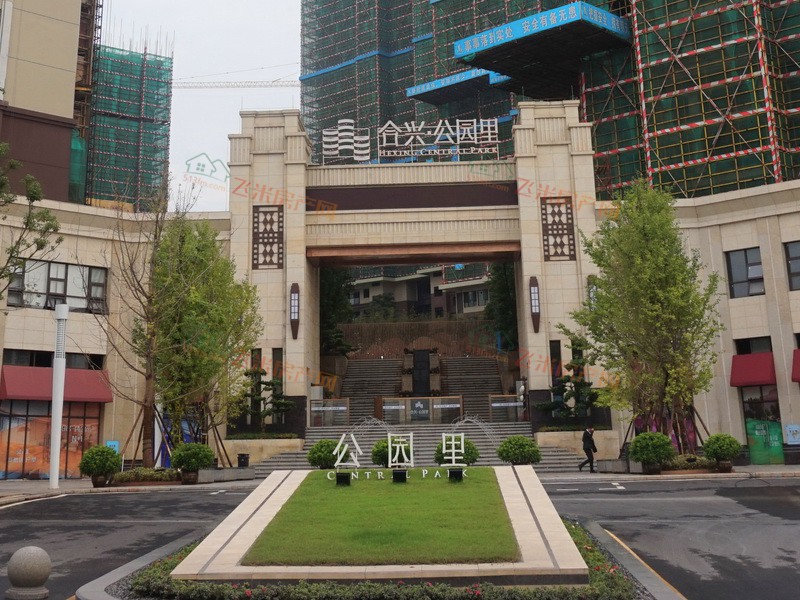 合兴·公园里